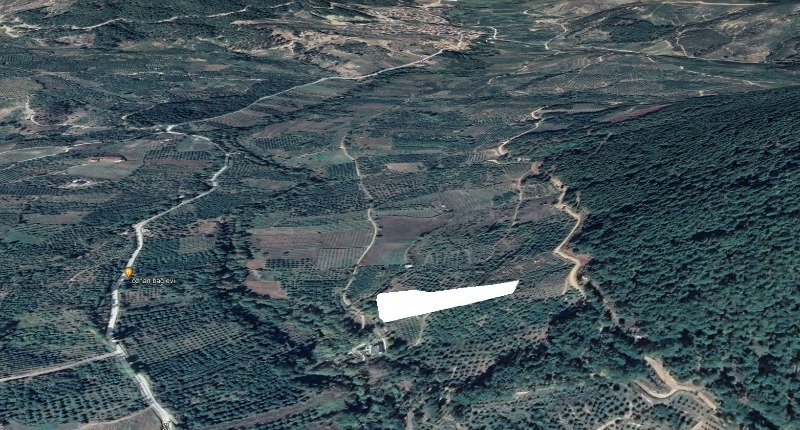 İlan fotoğrafları