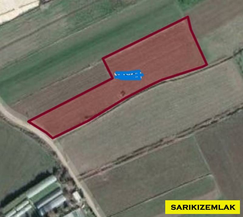 Burhaniye Kızıklı M.Satılık Tarla 9600 M2 Araç İle Girilebilir