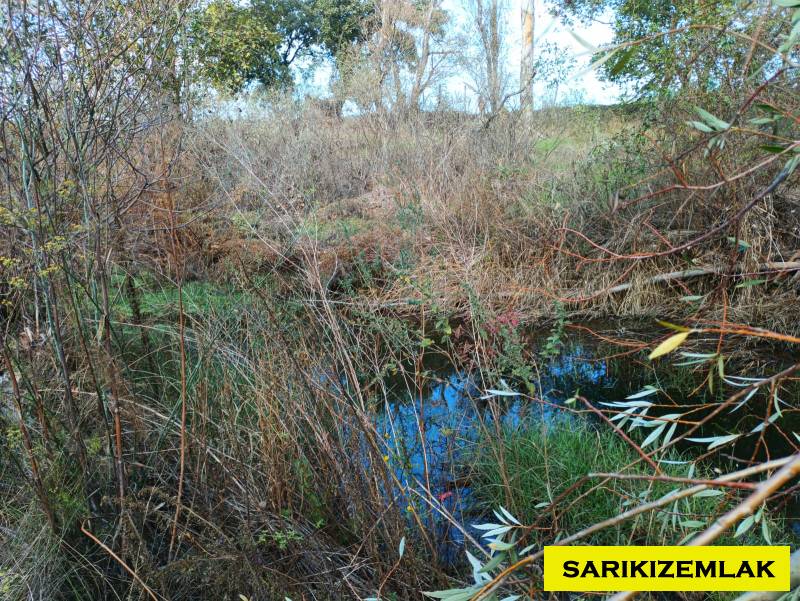 Büyü10349 Büyü10349