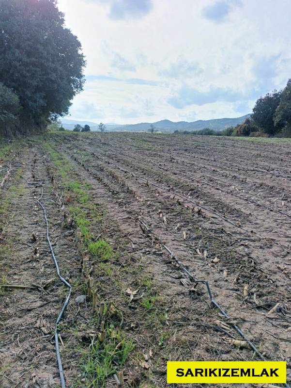 Büyü10350 Büyü10350