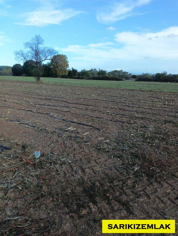 Büyü10352 Büyü10352