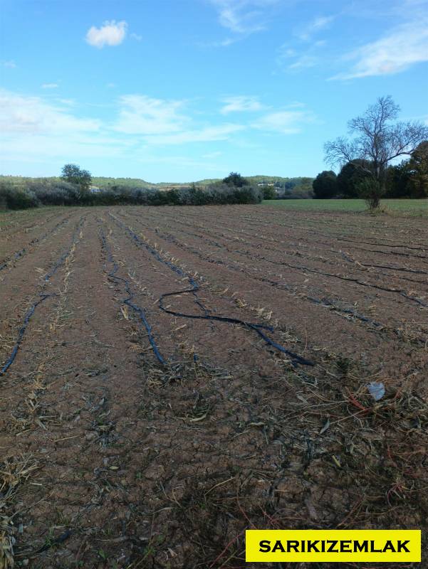 Büyü10354 Büyü10354