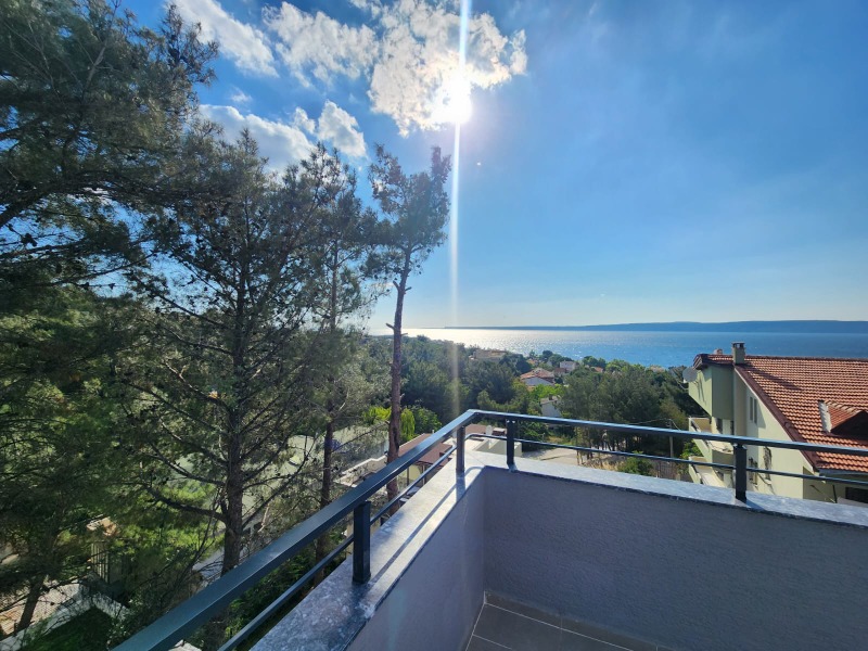 Büyü1317 Büyü1317