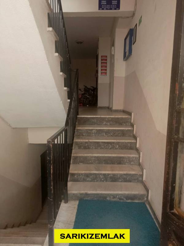 Büyü12623 Büyü12623