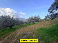 Resim13422