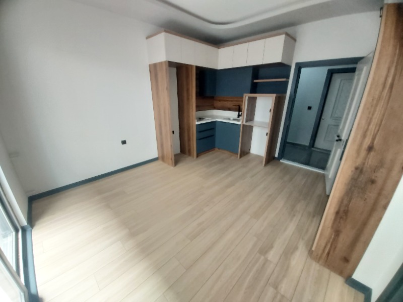 Büyü1537 Büyü1537