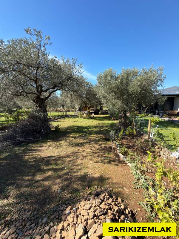 Büyü9770 Büyü9770