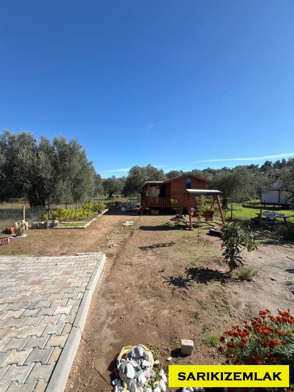 Büyü9771 Büyü9771