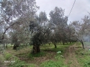 Resim2686