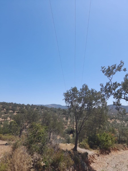 Büyü2691 Büyü2691