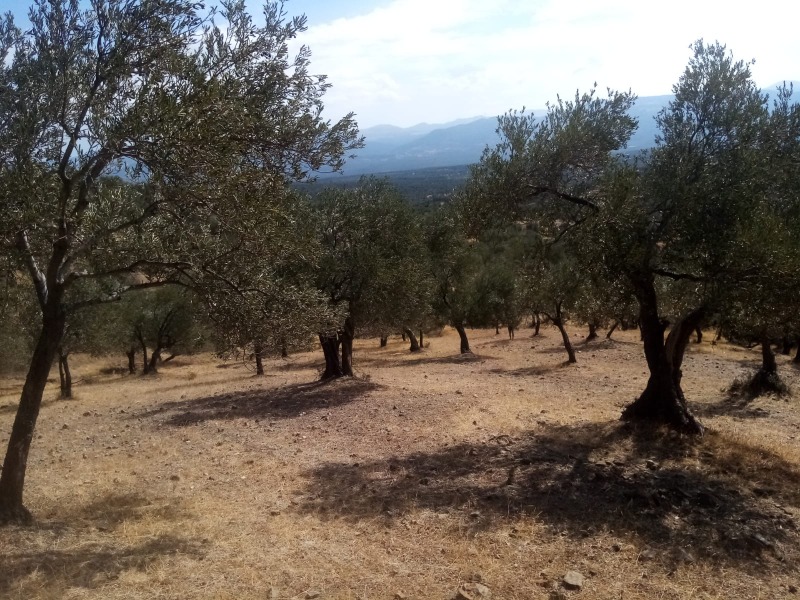 Büyü2698 Büyü2698