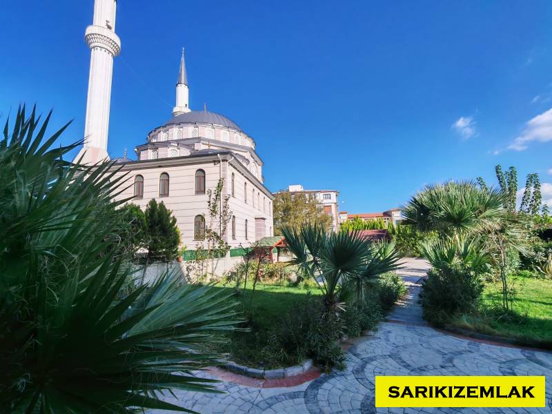 Büyü9984 Büyü9984