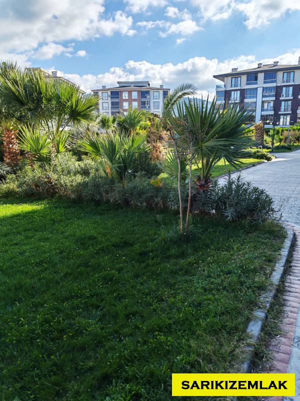 Büyü9986 Büyü9986