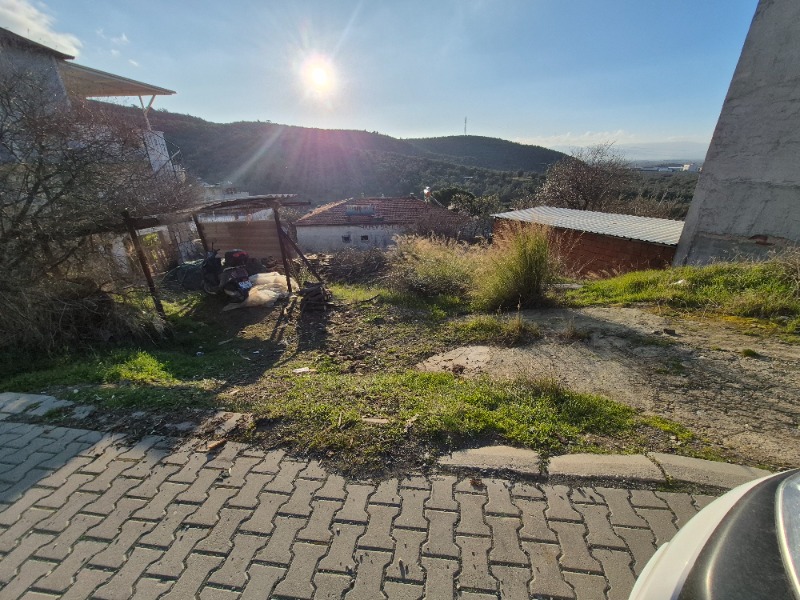 Büyü1977