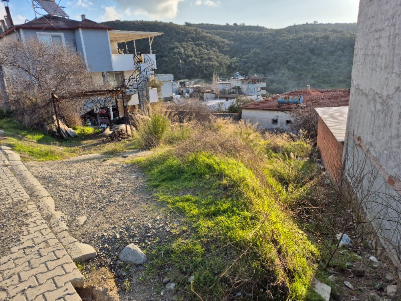 Büyü1978