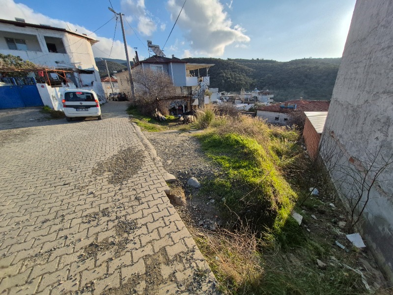 Büyü1979