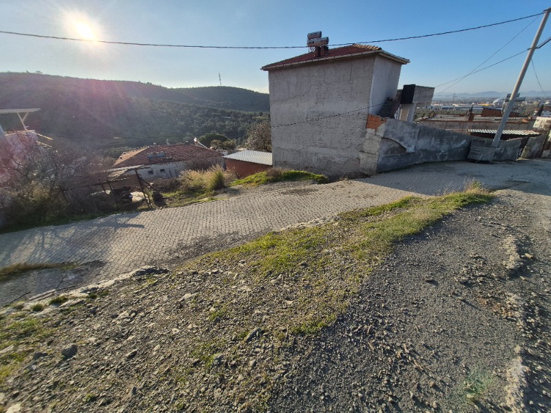 Büyü1981