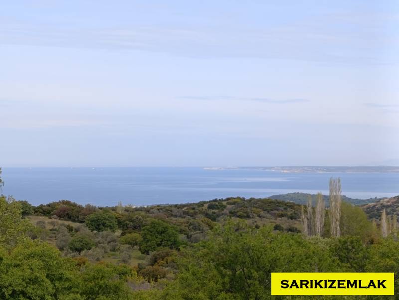 Tavaklı Köyü`nde Deniz Manzaralı, Doğayla İç İçe Satılık Arazi!