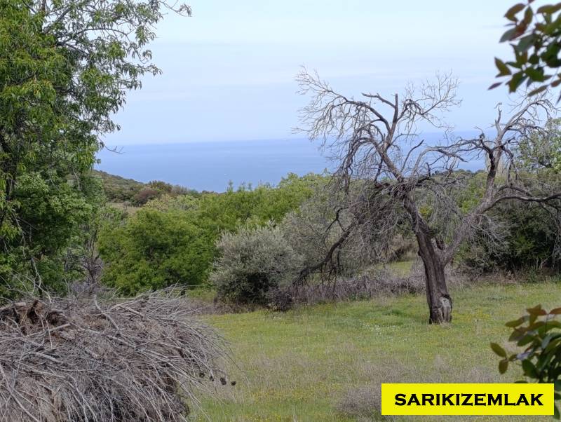 Tavaklı Köyü`nde Deniz Manzaralı, Doğayla İç İçe Satılık Arazi!